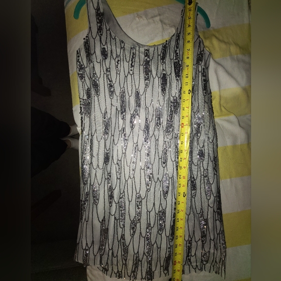 BB DAKOTA Roselyn Silver Sequin Sleeveless Mini Shift Dress - Picture 15 of 15